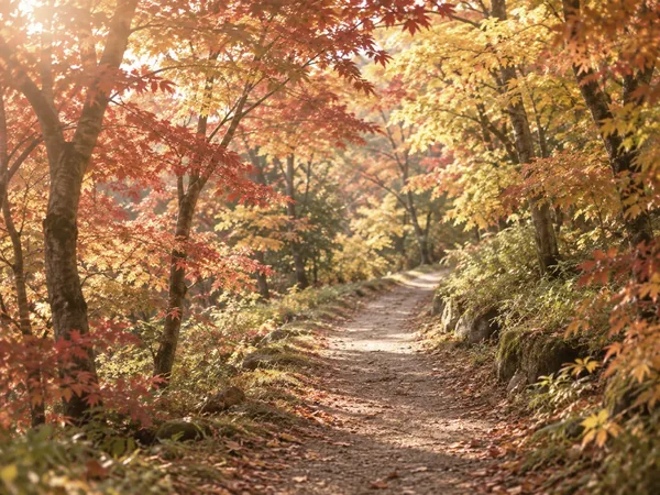 紅葉の山道