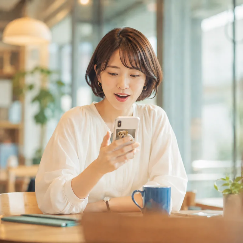 届いた写真で様子を見てほっとする様子